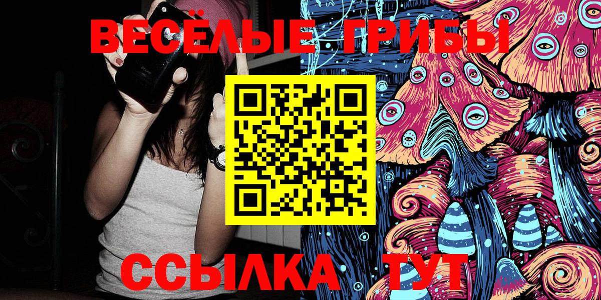 Галлюциногенные грибы Psilocybine cubensis Ногинск